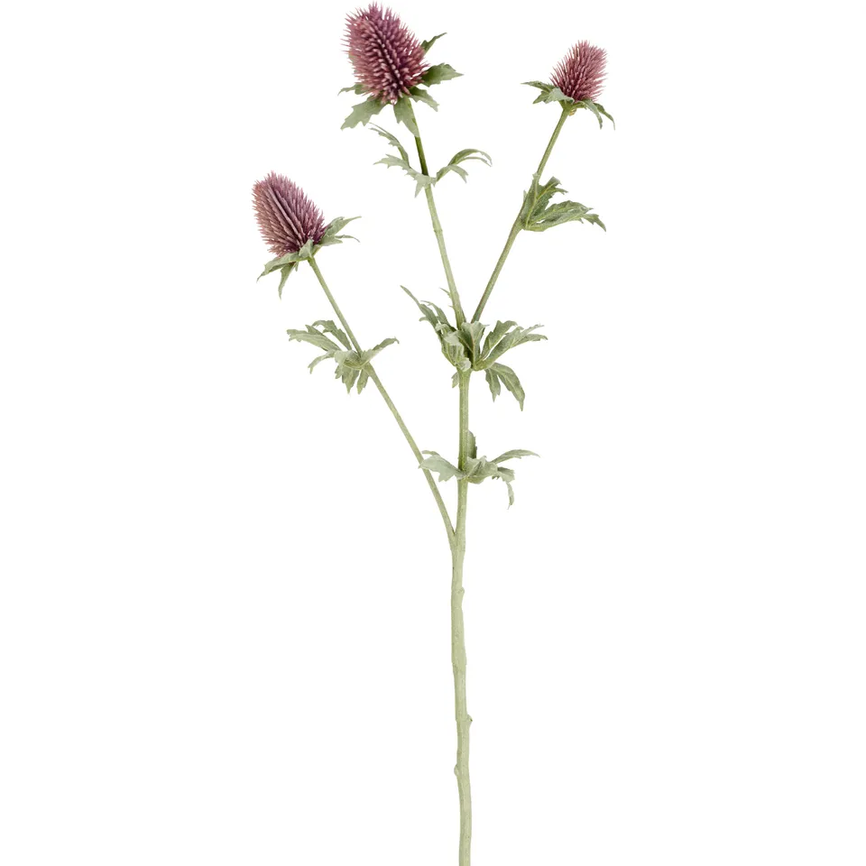 Sia Home Chardon tige artificielle rose 78 cm