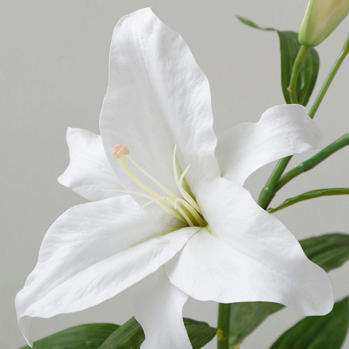 Sia Home Lys Casablanca tige 95 cm blanc