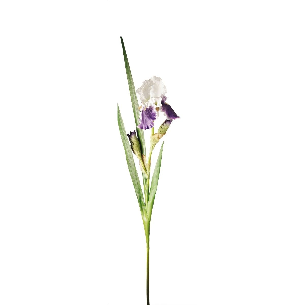 Sia Home Iris tige artificielle blanc violet 105 cm