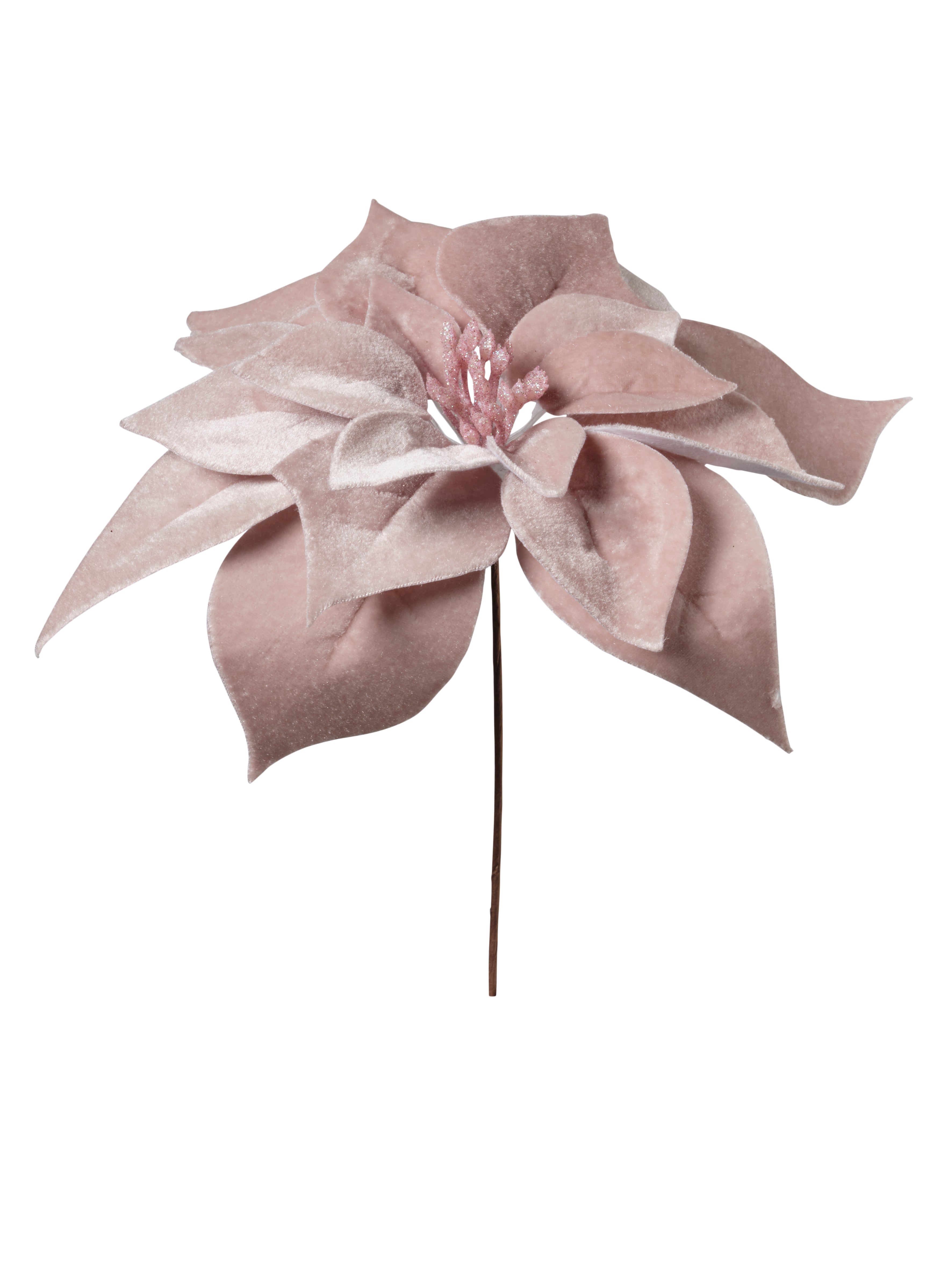 Feuillazur Rungis Saison Tige poinsettia fleur bordeaux 67cm