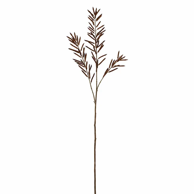 Sia Home Feuillage d'Haricots 114 cm tige artificielle marron