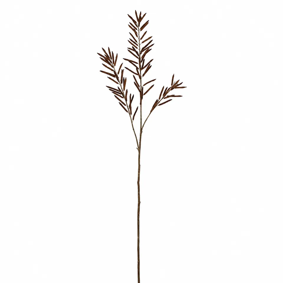 Sia Home Feuillage d'Haricots 114 cm tige artificielle marron