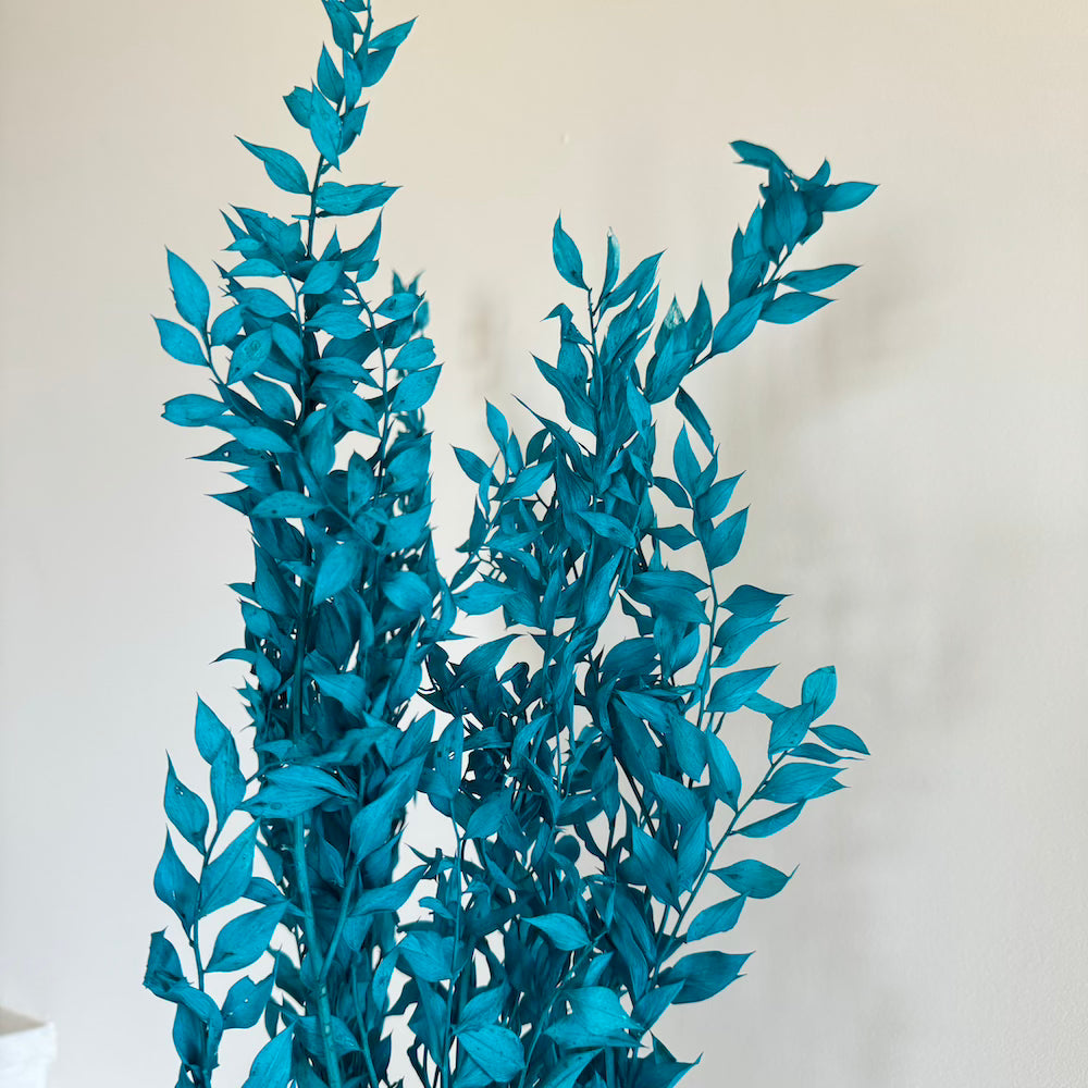 Flowrette botte ruscus turquoise séchée x1