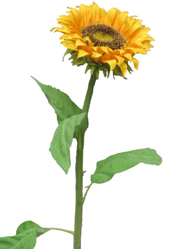 Feuillazur Rungis Tournesols fleur artificielle jaune 77cm salon