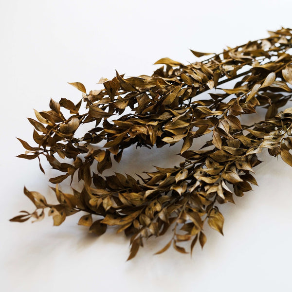 Flowrette ruscus olive botte fleurs séchées vert composition