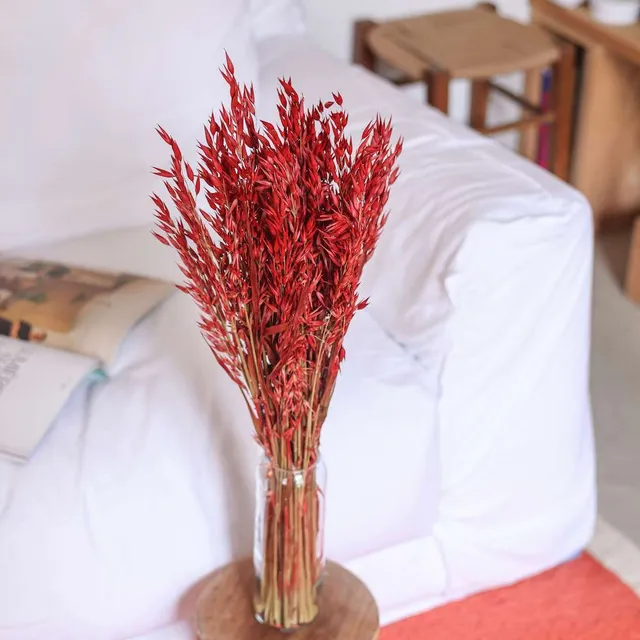 Flowrette Avoine rouge fleurs séchées botte x1