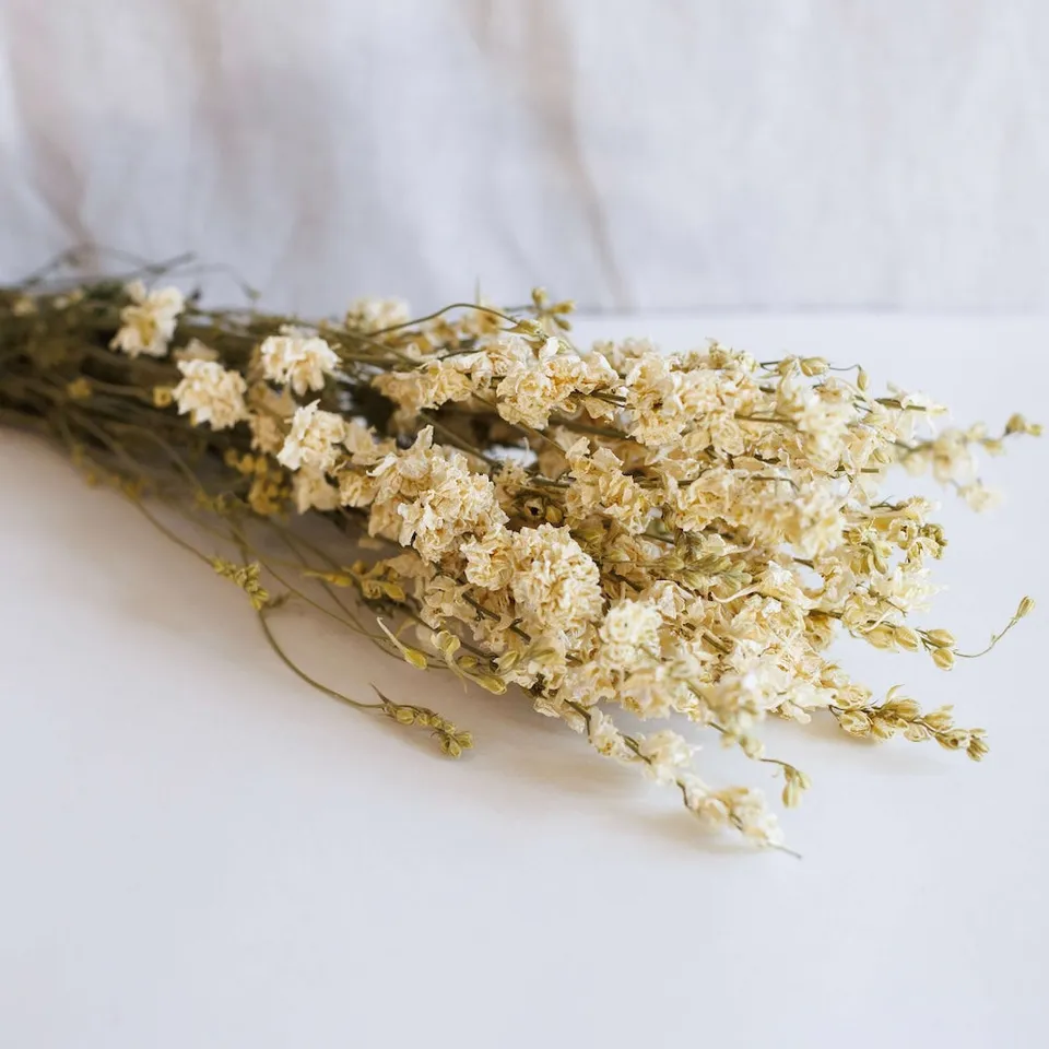Flowrette Delphinium blanc en botte fleurs séchées x1 délicat