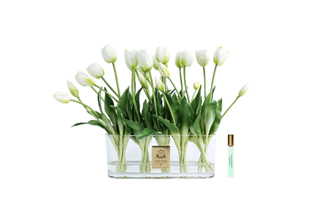 Côte Noire Perfumed Flowers OT01 tulipes blanches vase ovale