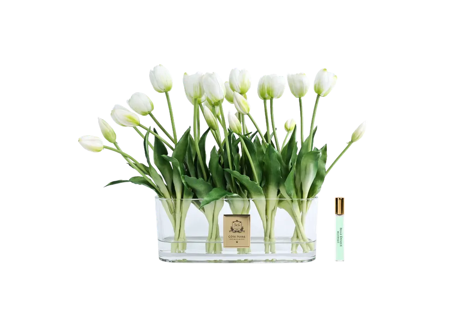 Côte Noire Perfumed Flowers OT01 tulipes blanches vase ovale