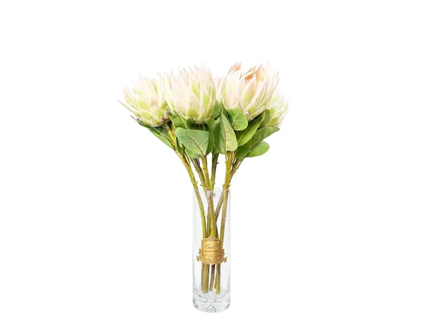 Côte Noire Perfumed Flowers LOP01 protea ivoire branche