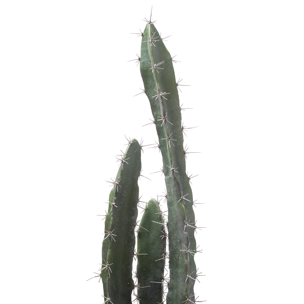 Sia Home Cactus plante artificielle verte pot céramique 64 cm