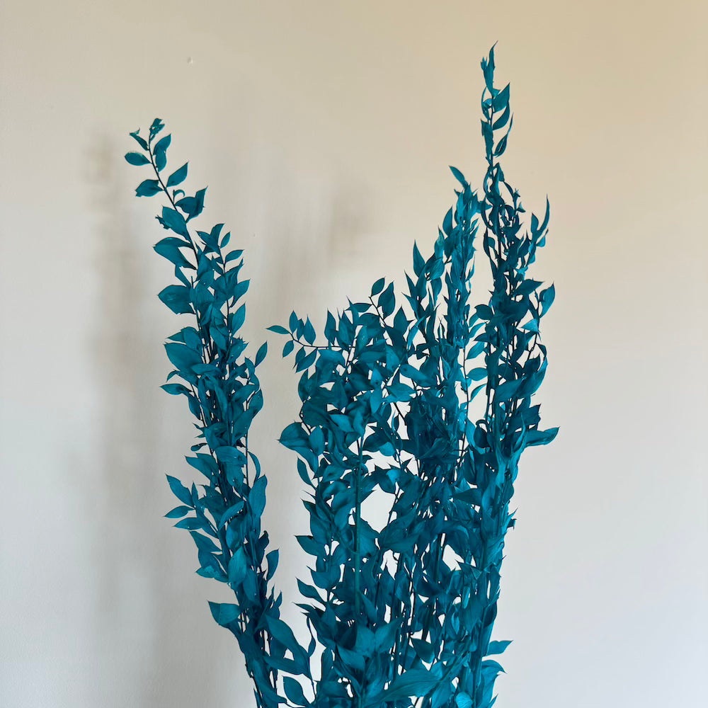 Flowrette botte ruscus turquoise séchée x1