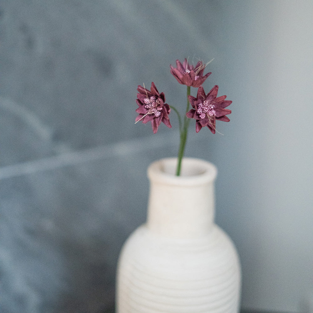 Flowrette Astrance fleur en papier violet x1 centre de table