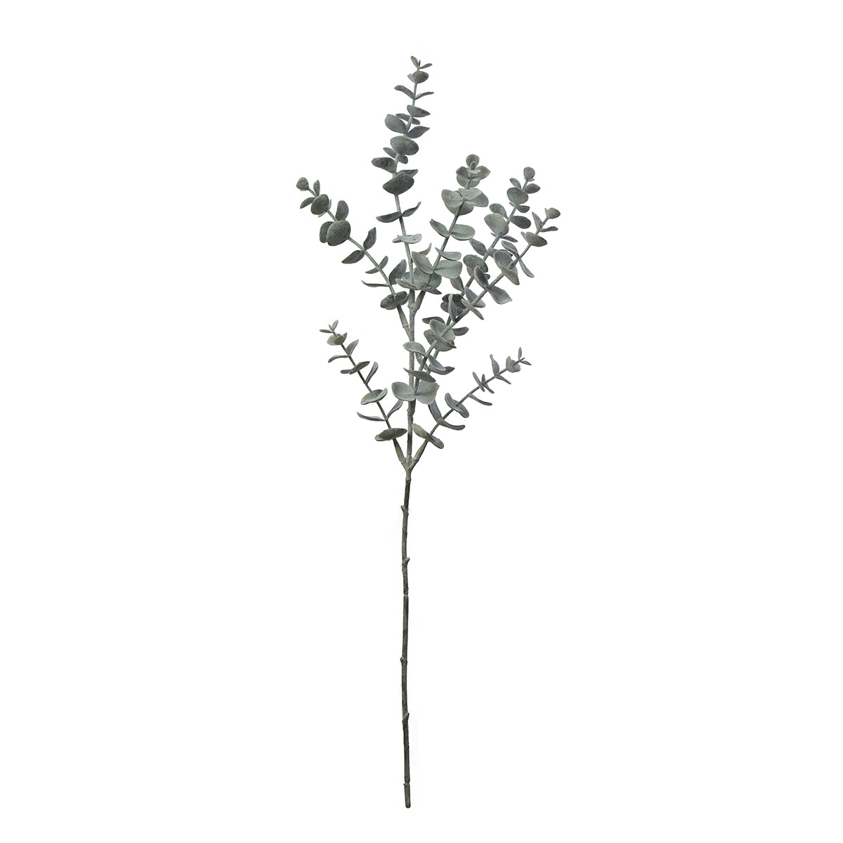 Sia Home Feuillages Eucalyptus 53cm tige verte