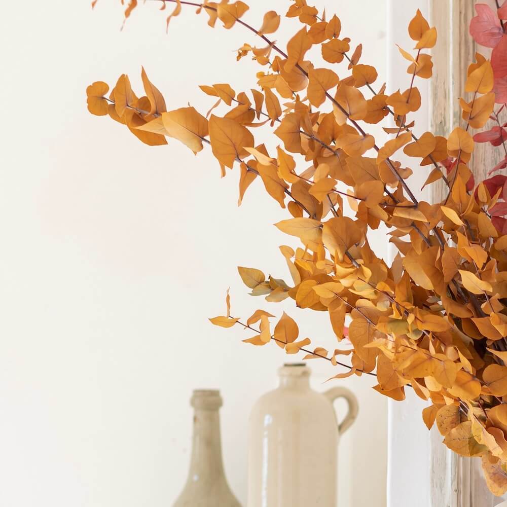 Flowrette Stuartiana botte eucalyptus jaune stabilisé feuillage x1
