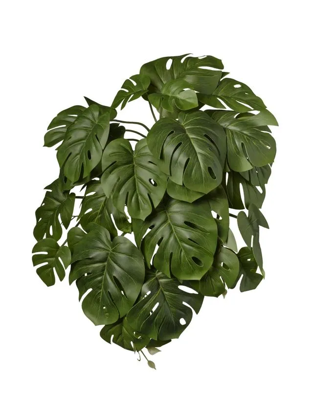 Feuillazur Rungis monstera piquet artificiel vert/blanc 48cm