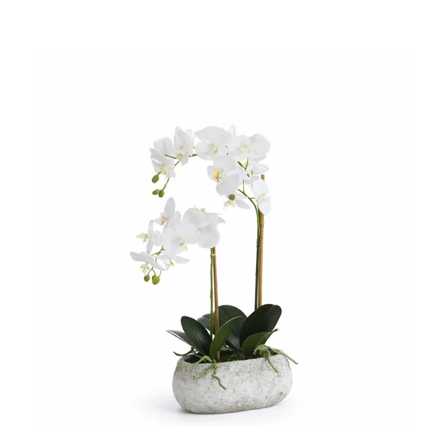 Sia Home Sérena composition orchidée artificielle blanc 65 cm