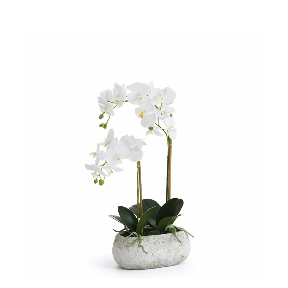 Sia Home Sérena composition orchidée artificielle blanc 65 cm