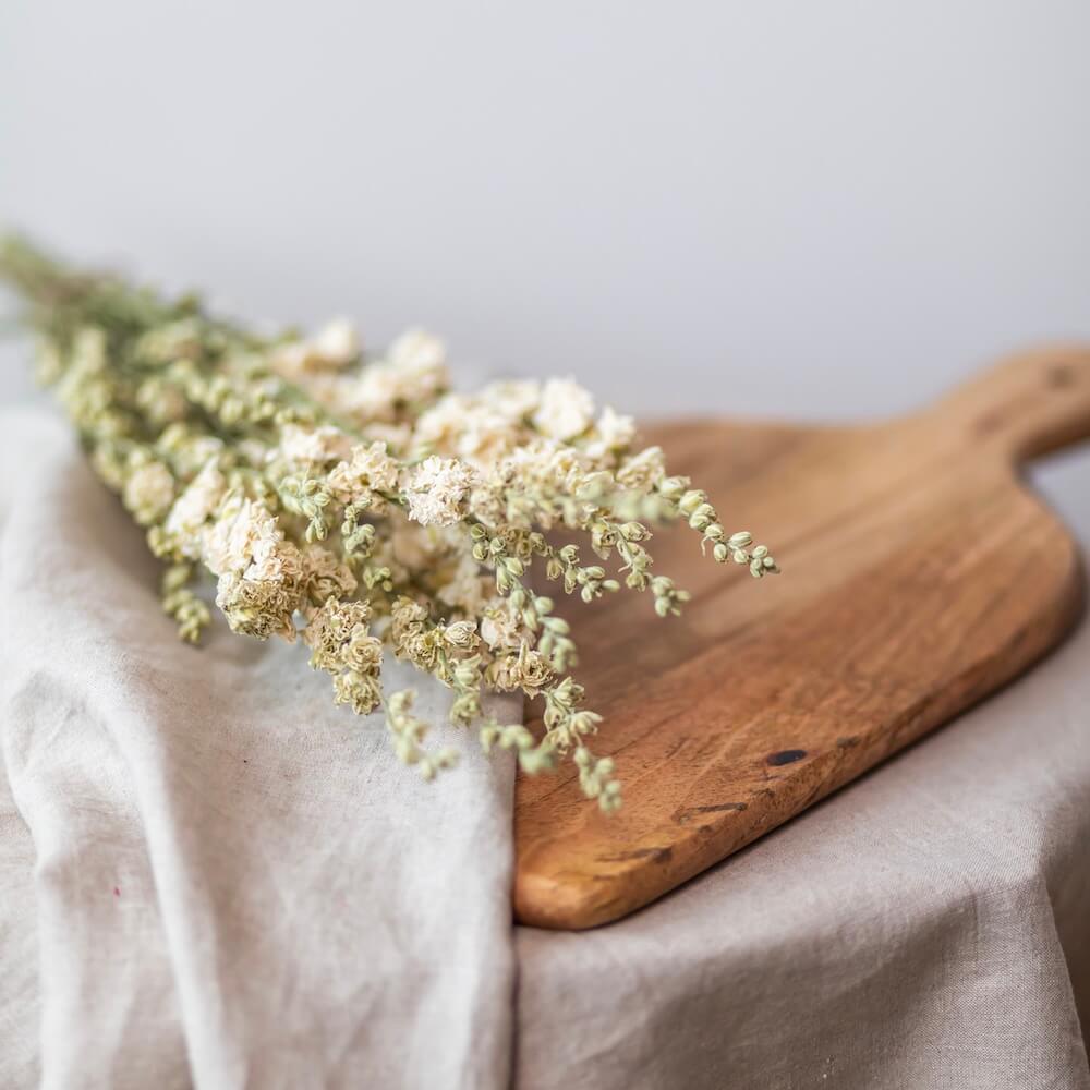Flowrette Delphinium blanc en botte fleurs séchées x1 délicat