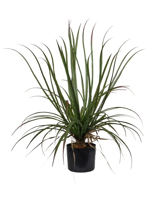 Feuillazur Rungis Dragonier artificiel 75cm vert