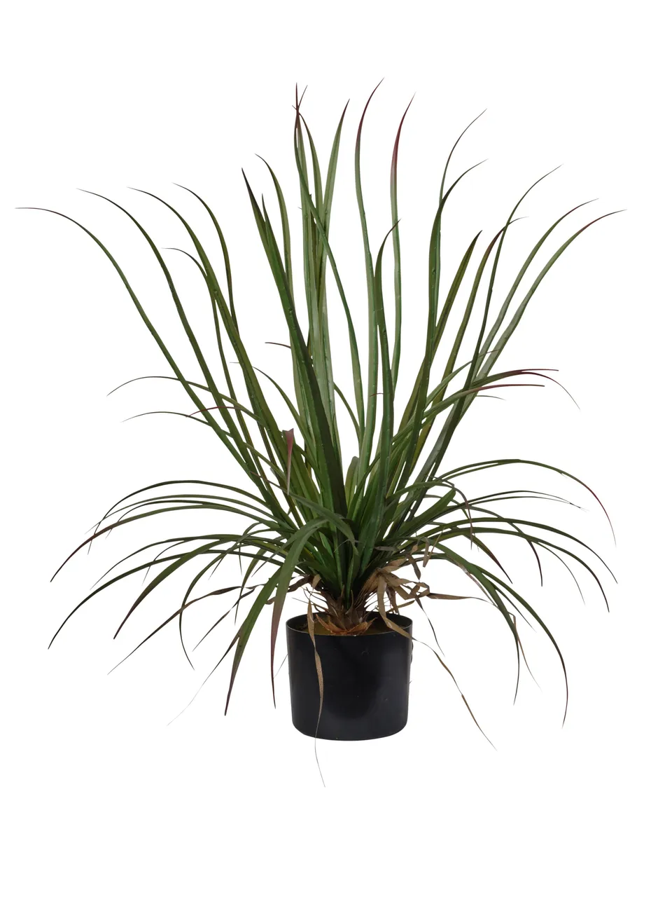 Feuillazur Rungis Dragonier artificiel 75cm vert