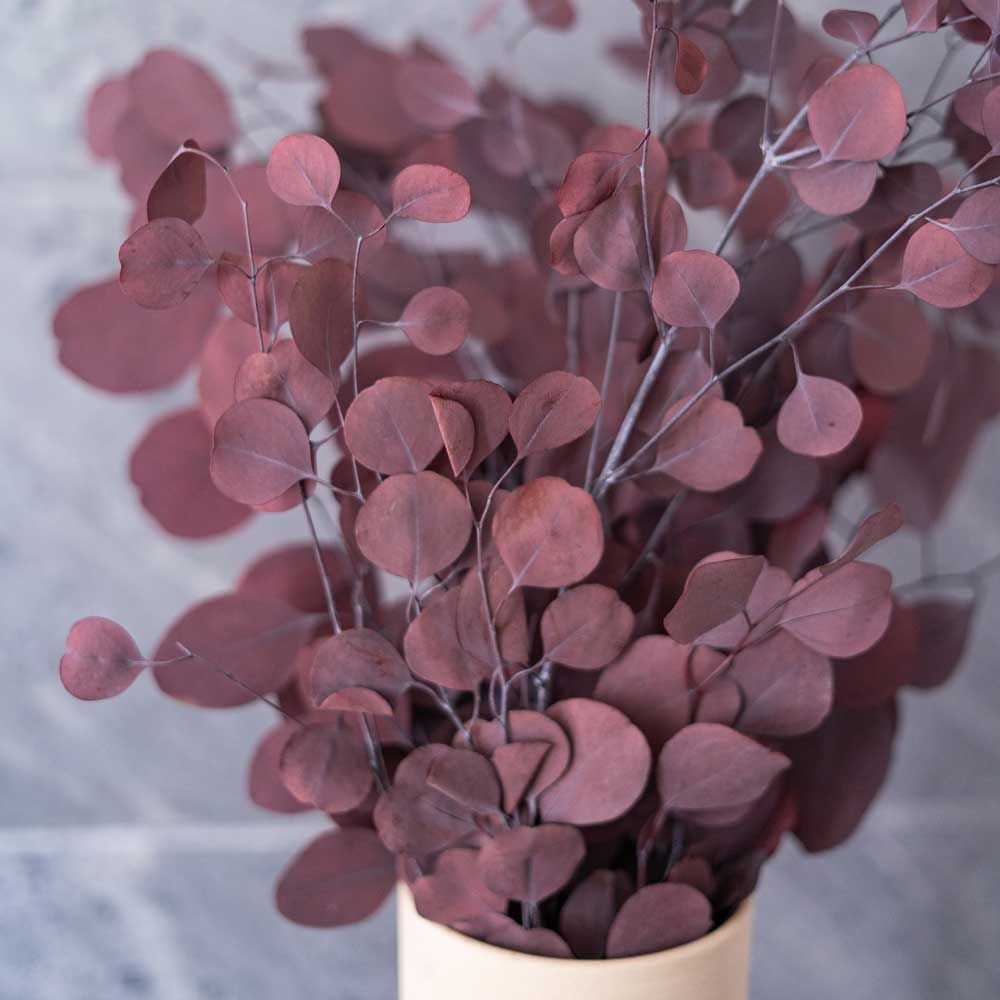 Flowrette Eucalyptus Populus Bordeaux botte stabilisée