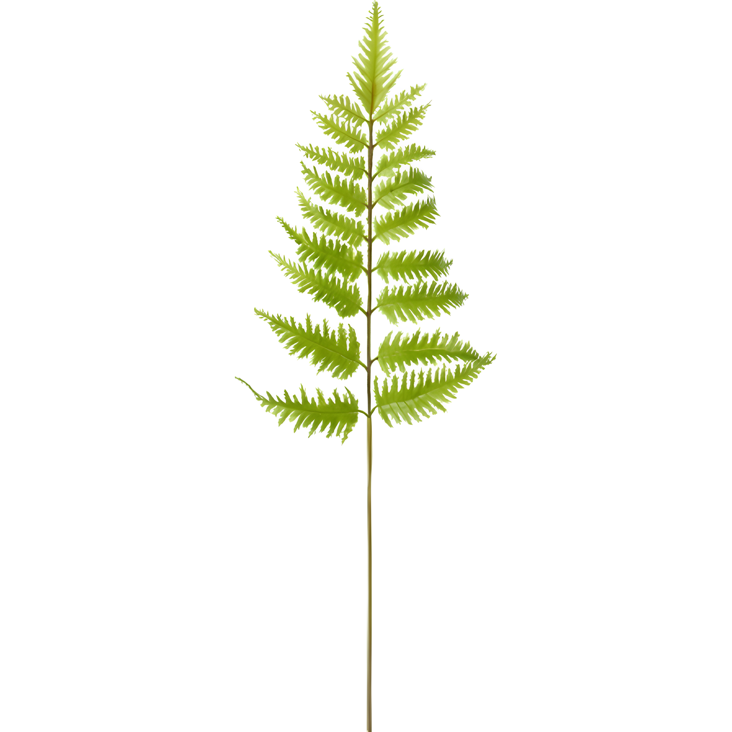 Sia Home feuillage fougère artificielle vert 55 cm