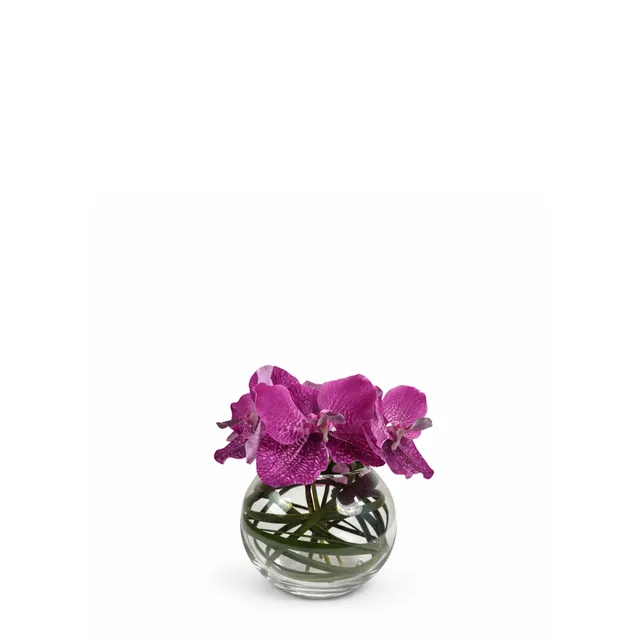 Sia Home Chloé composition orchidée artificielle vase rond violet