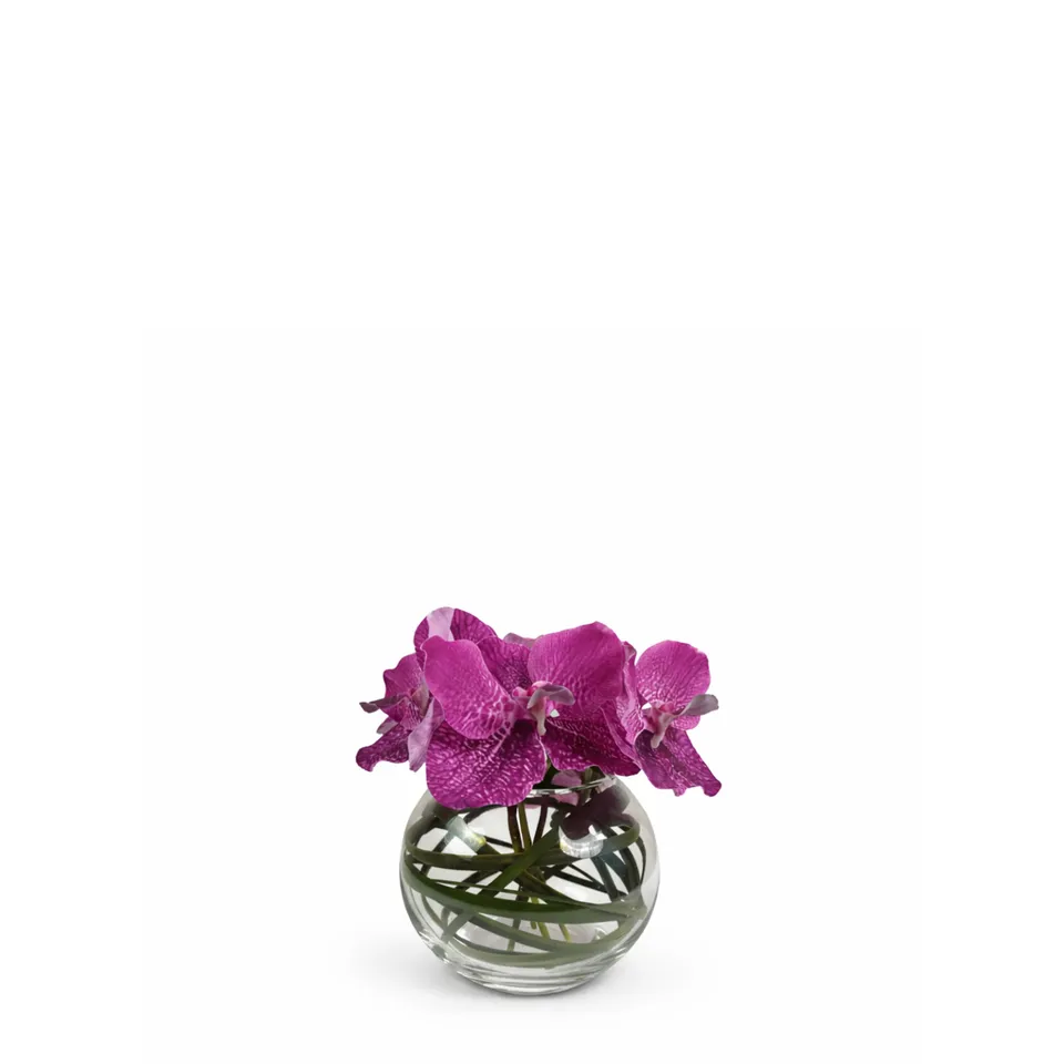Sia Home Chloé composition orchidée artificielle vase rond violet
