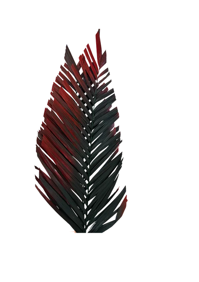 Feuillazur Rungis Areca Cut feuillage stabilisé vert et rouge
