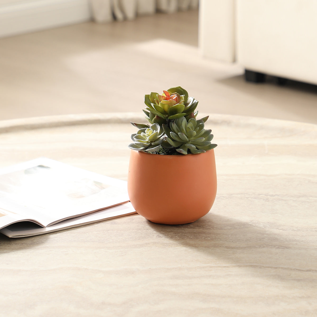 Sia Home Succulente plante artificielle vert pot 7 cm