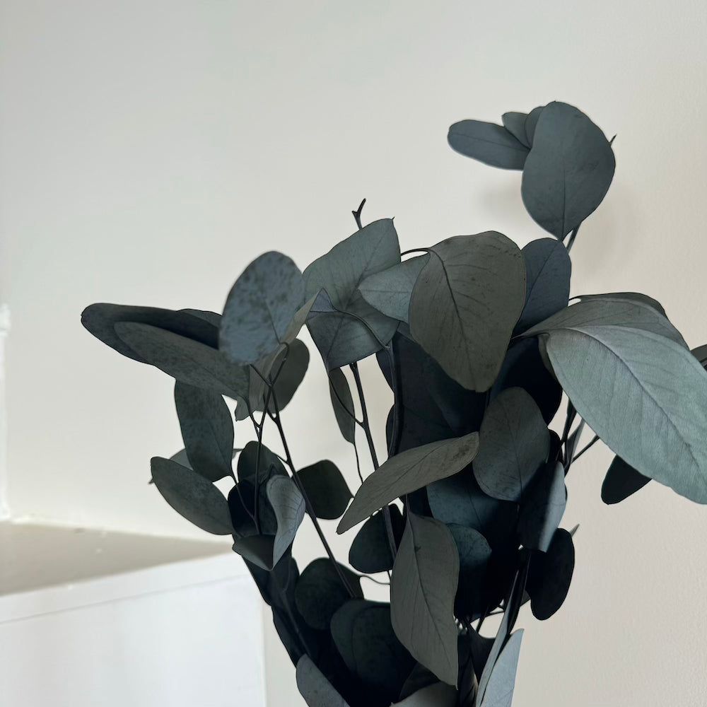 Flowrette Eucalyptus Populus botte stabilisée verte x1