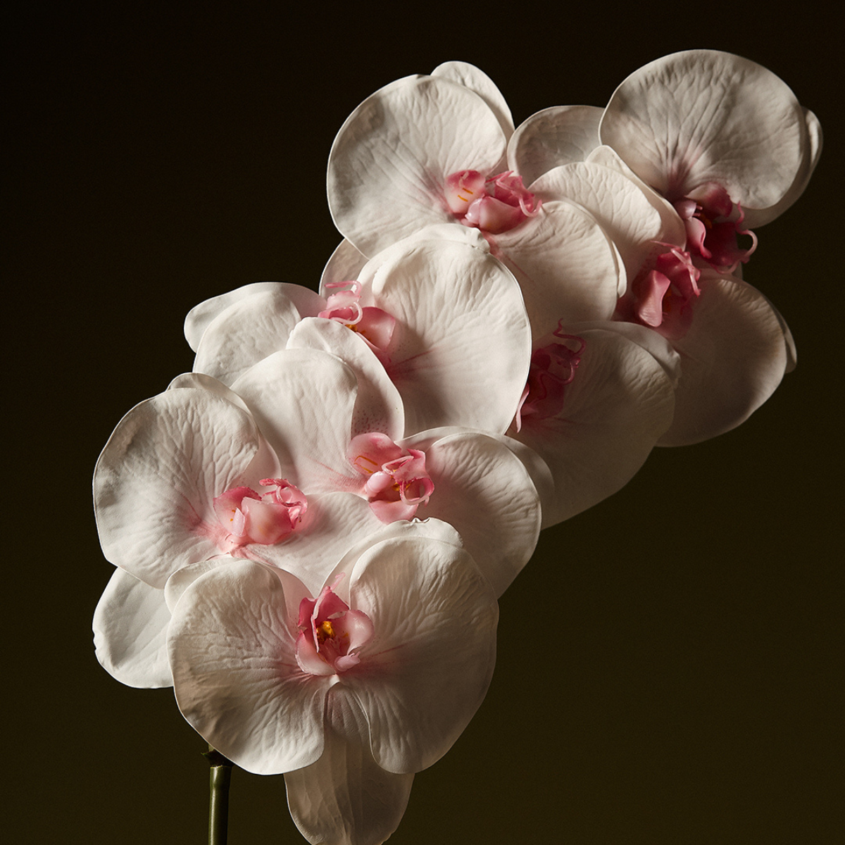 Sia Home Orchidée Phalaenopsis 60 cm tige artificielle blanc