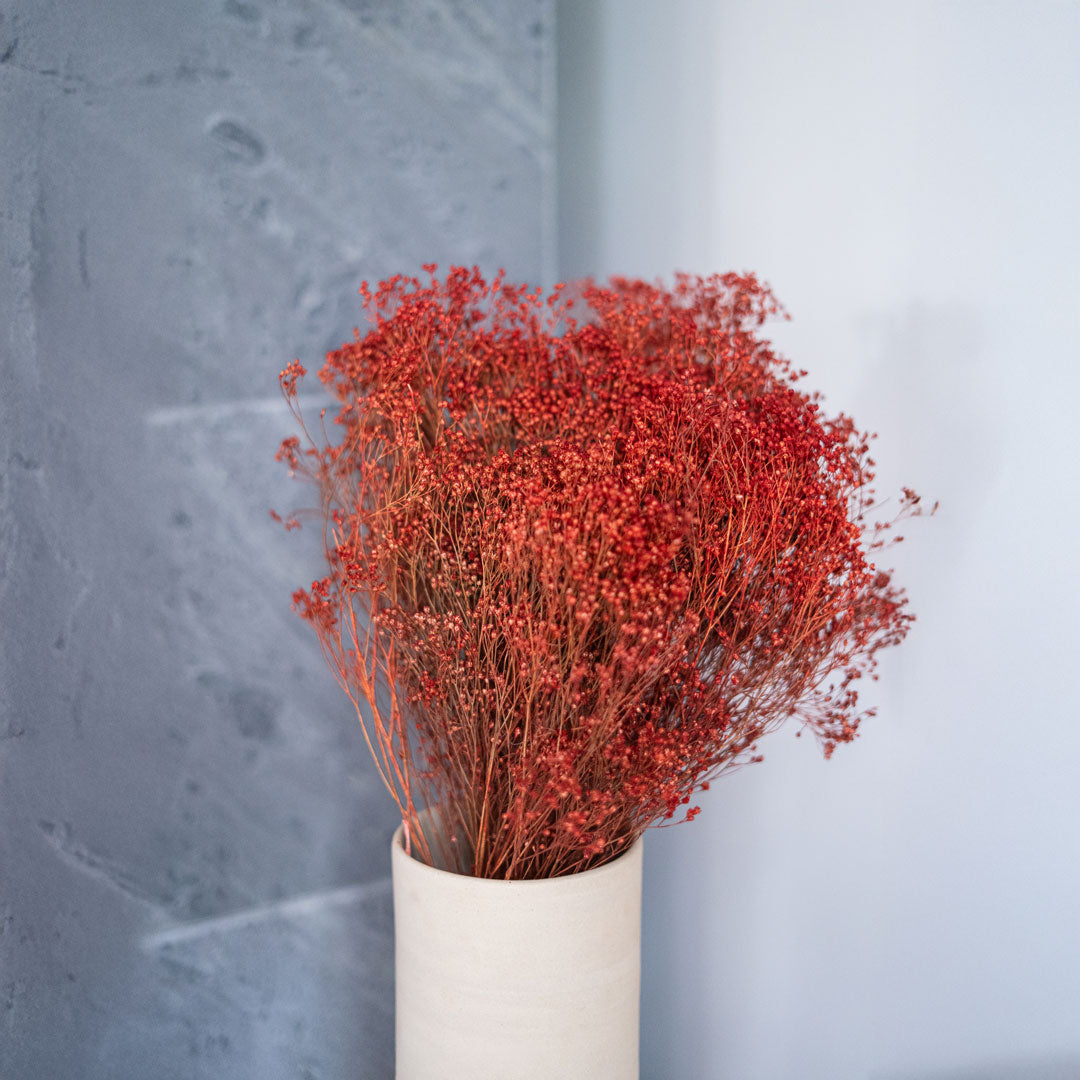 Flowrette Fleurs séchées Broom Bloom botte rouille