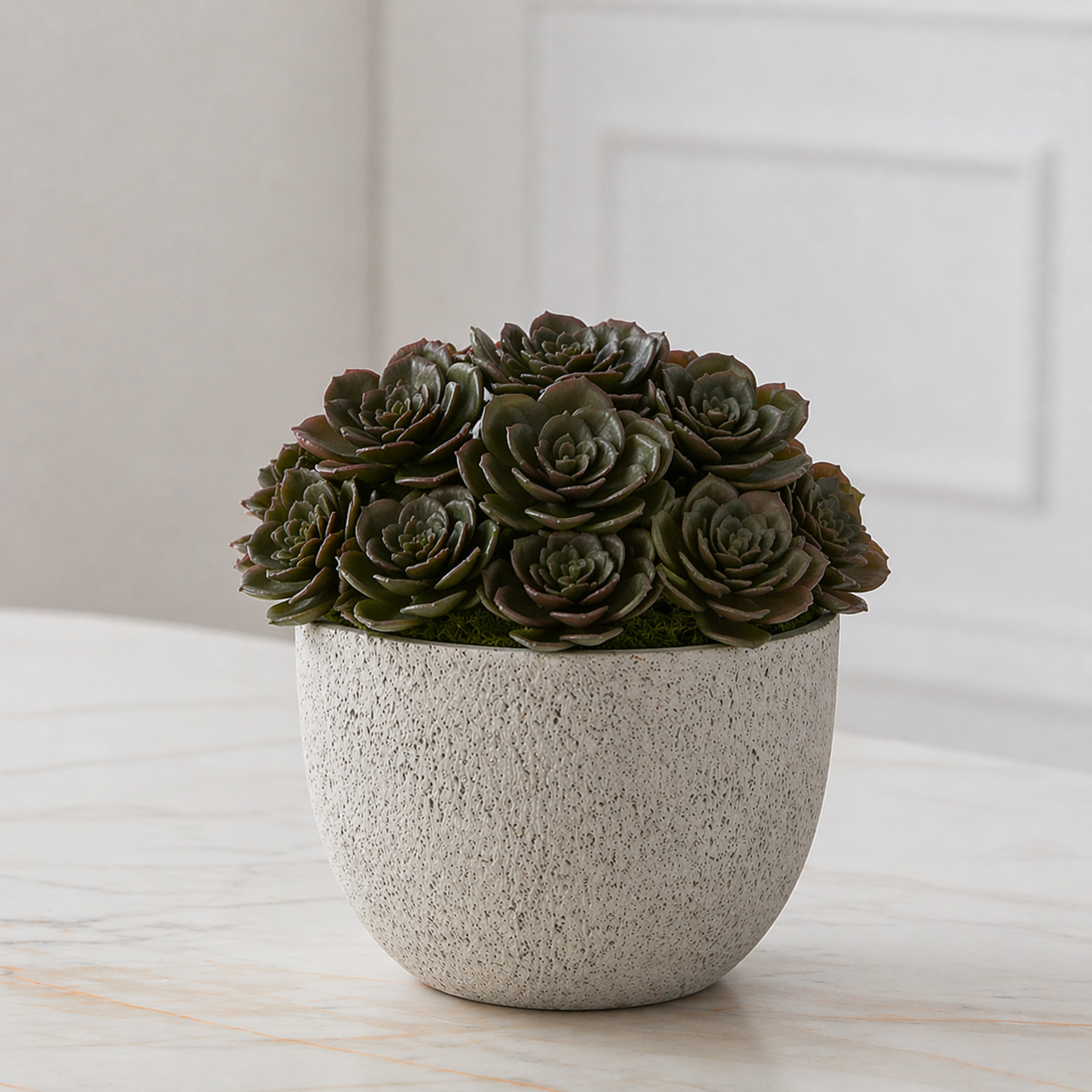 Sia Home Feuillage succulente tige 30 cm vert clair