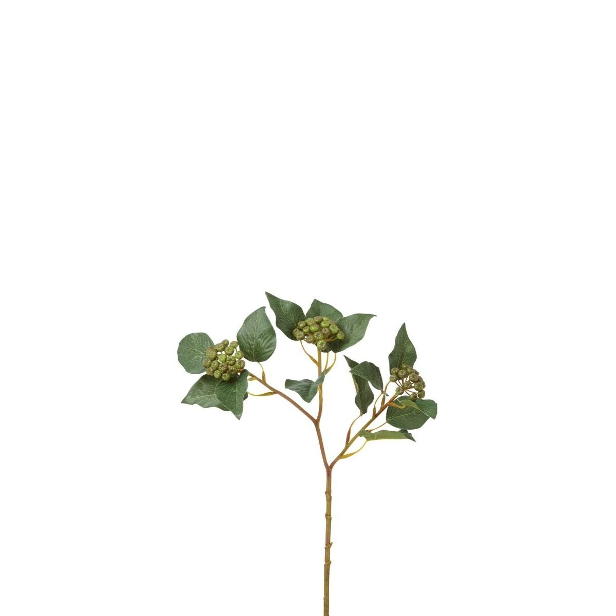 Sia Home Branche Baies Lierre branche 45 cm vert foncé