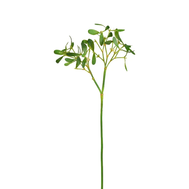 Sia Home Feuillage de Gui artificiel vert 68 cm baies blanches
