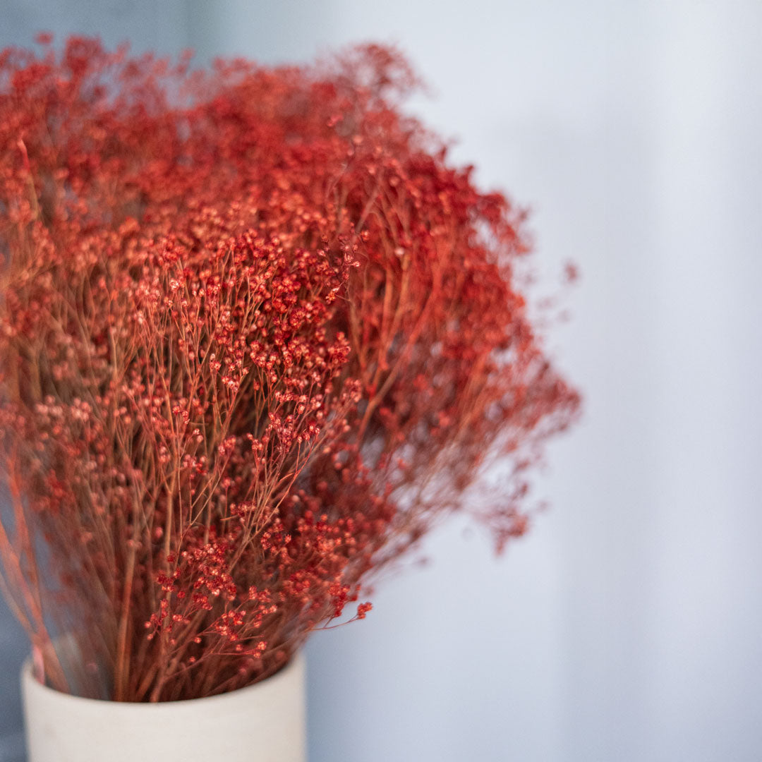 Flowrette Fleurs séchées Broom Bloom botte rouille