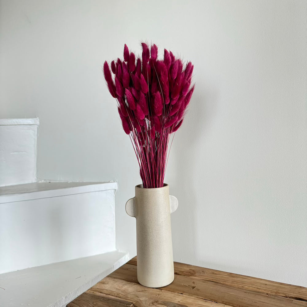 Flowrette Lagurus botte fleurs séchées bordeaux x1