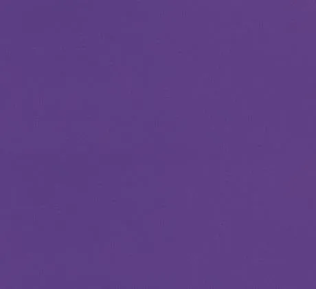 Feuillazur Rungis Contenants & Décoration Moquette violet 1m