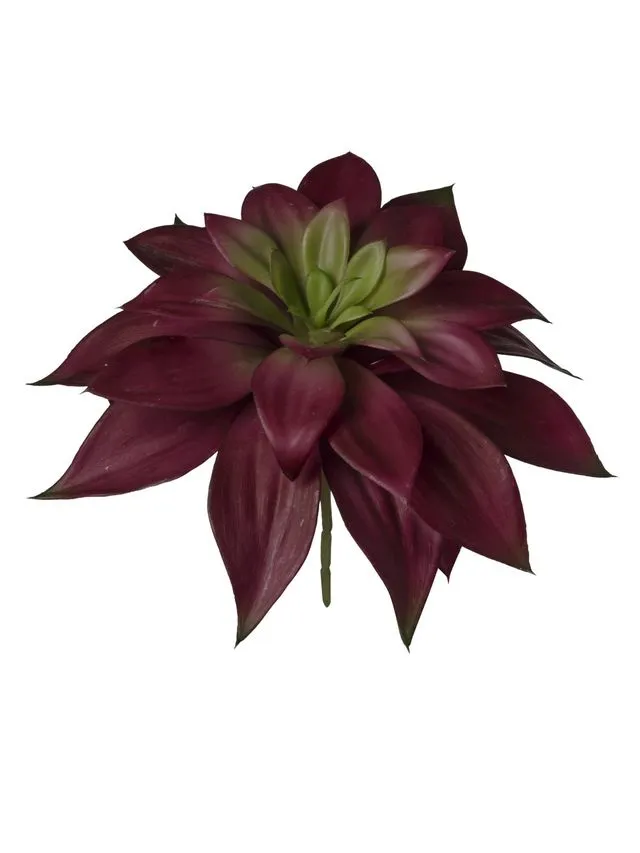 Feuillazur Rungis Plante grasse plante artificielle verte 19cm