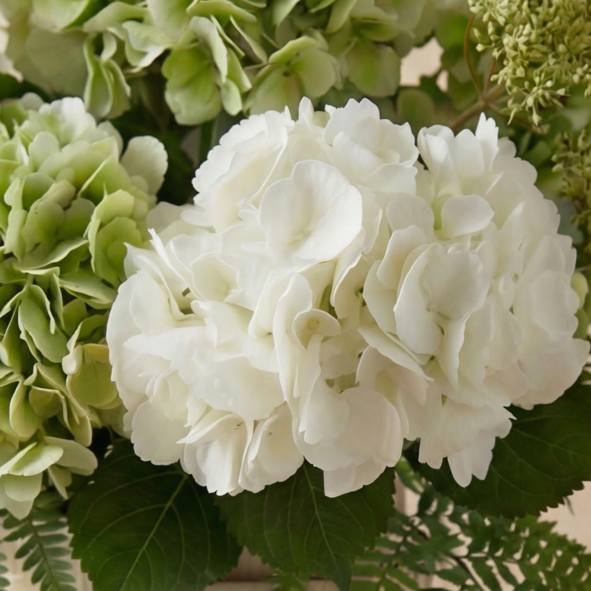 Sia Home Élora bouquet hortensias artificiel blanc 7 tiges