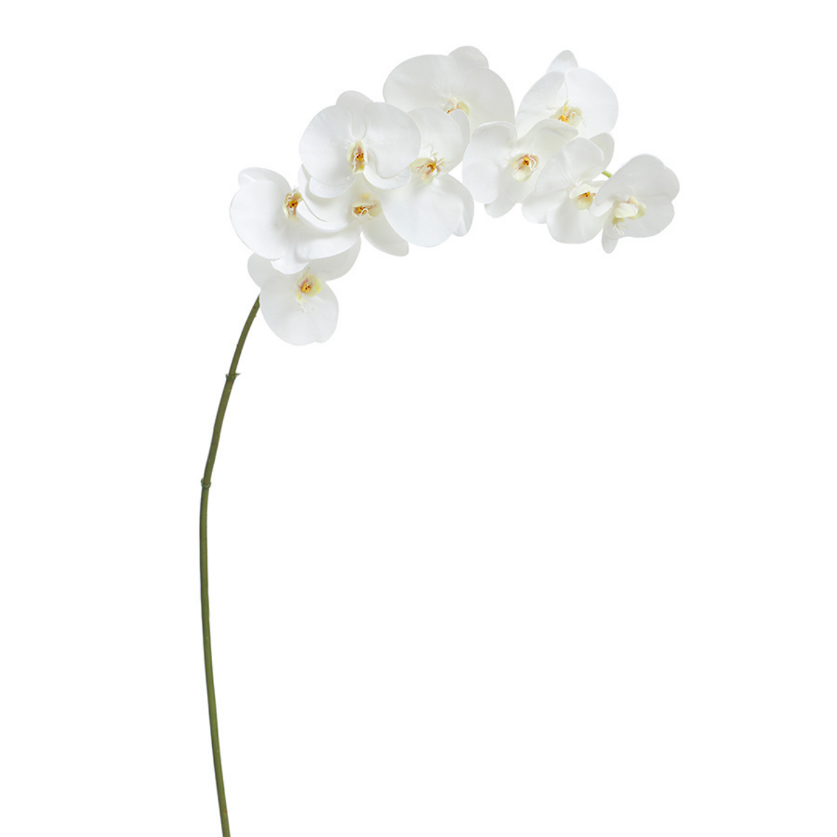 Sia Home Orchidée Premium tige artificielle blanche 86 cm