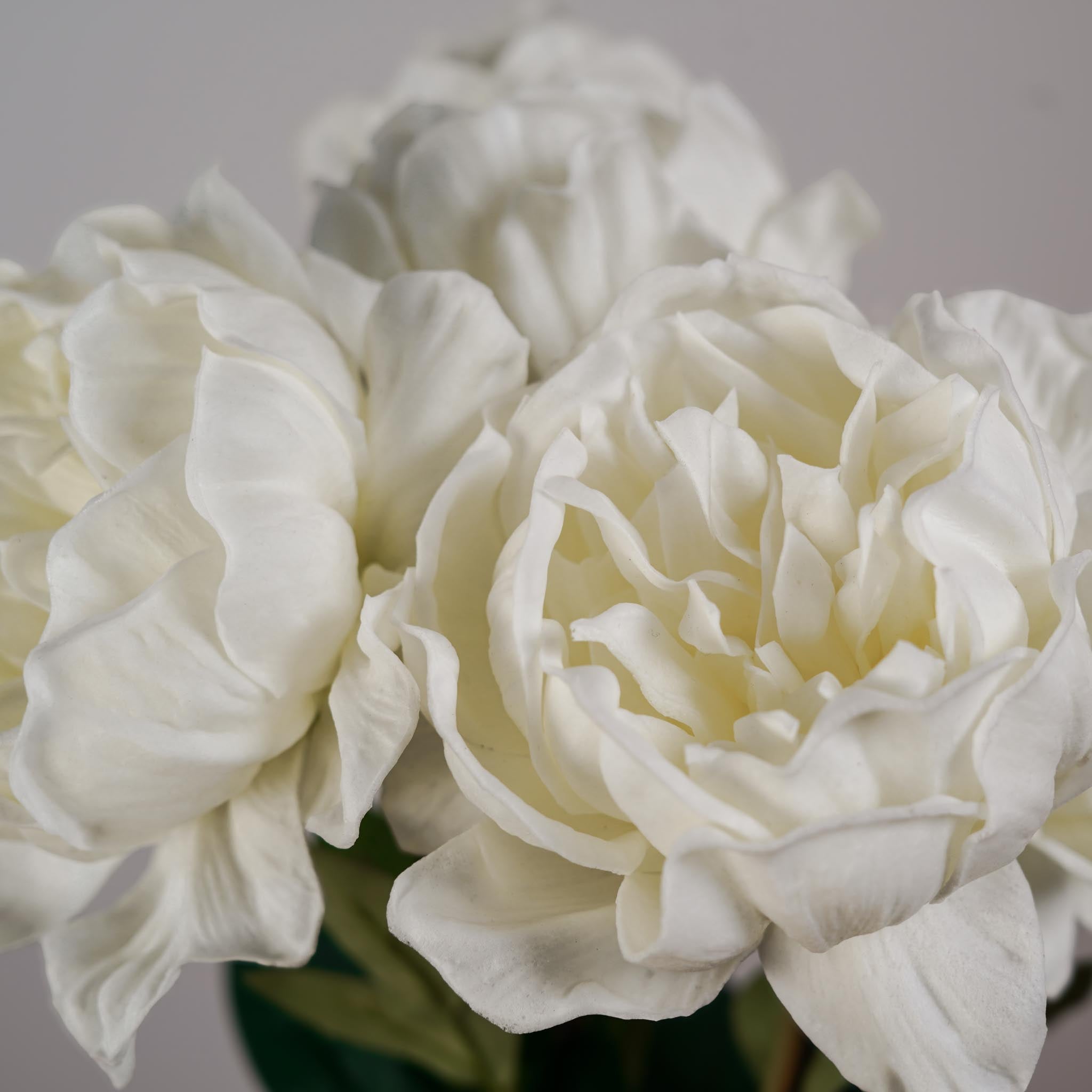 Flowrette Pivoine blanche x1 fleur artificielle Real Touch