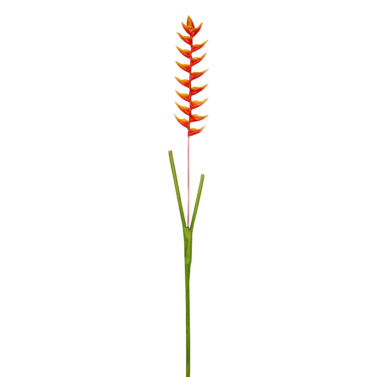 Sia Home Heliconia Rostrata tige 94 cm orange