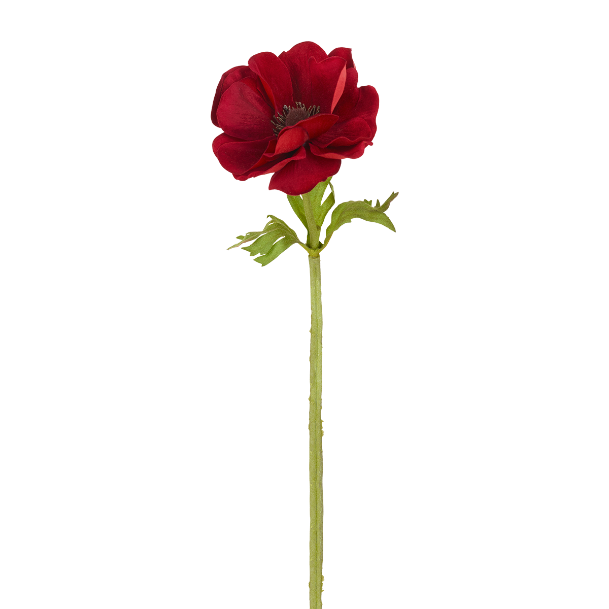 Sia Home Tige d'Anémone fleur artificielle rouge 35 cm