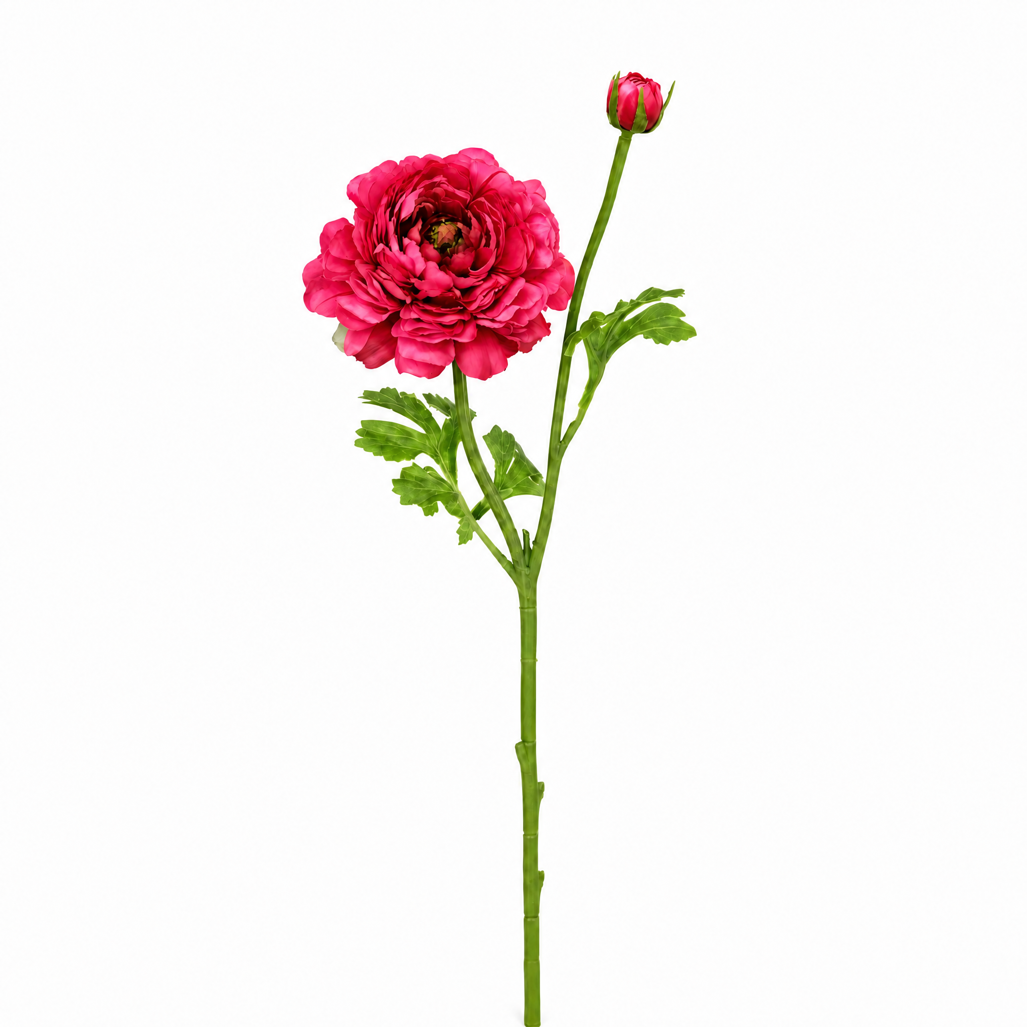 Sia Home Renoncule Nora tige artificielle rose pâle