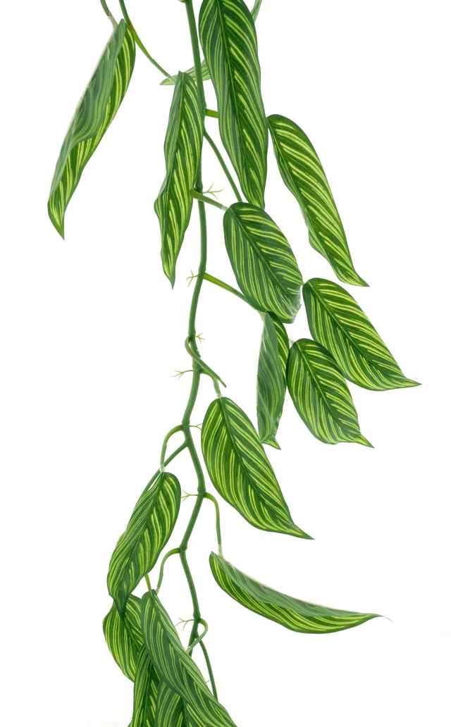 Feuillazur Rungis Spathiphyllum plante artificielle vert 165 cm