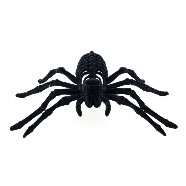 Feuillazur Rungis Araignée squelette déco Halloween noire