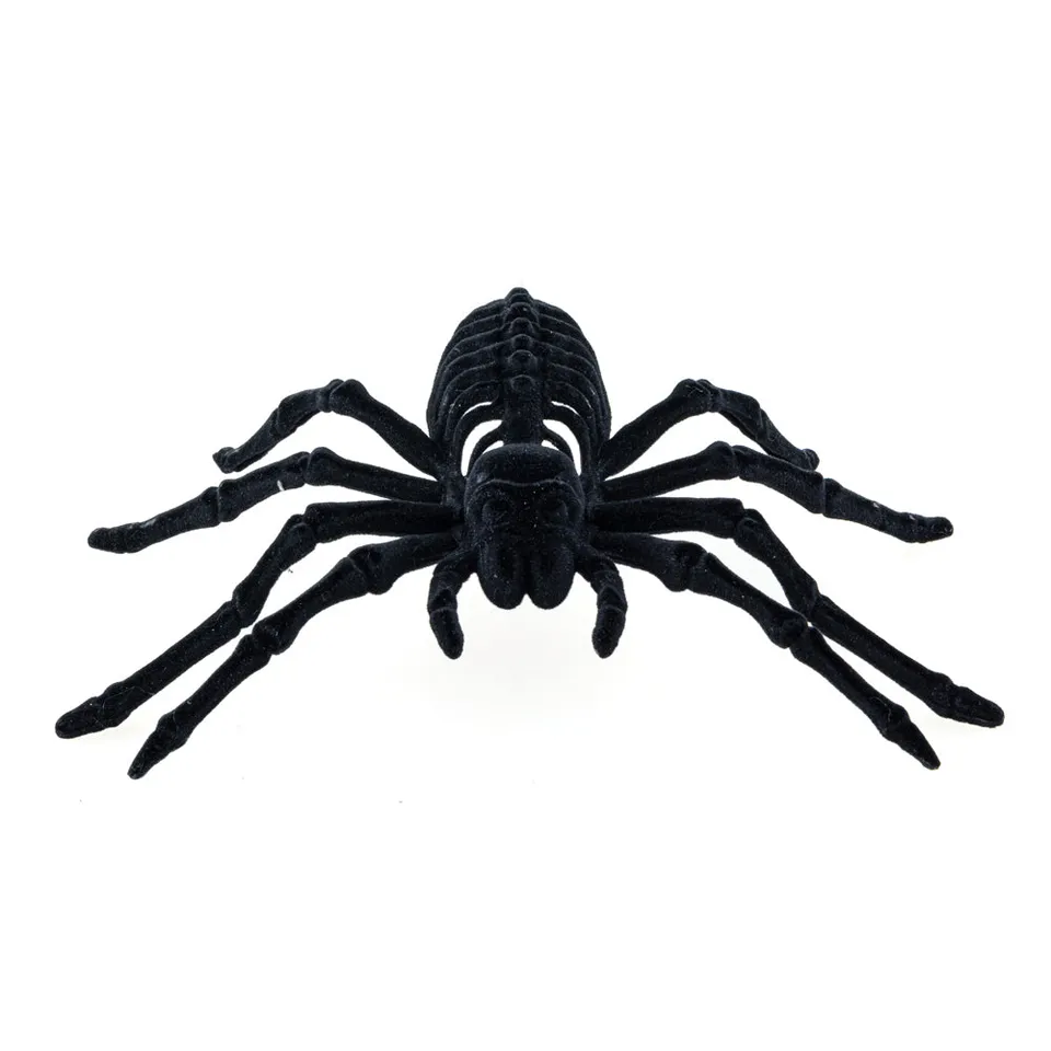 Feuillazur Rungis Araignée squelette déco Halloween noire